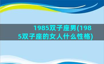 1985双子座男(1985双子座的女人什么性格)