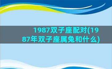 1987双子座配对(1987年双子座属兔和什么)