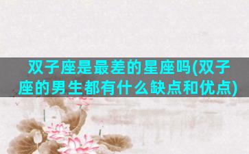 双子座是最差的星座吗(双子座的男生都有什么缺点和优点)