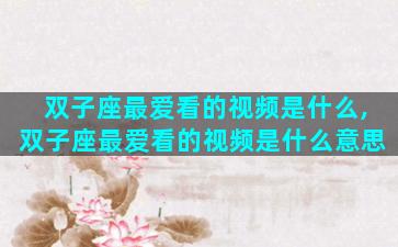 双子座最爱看的视频是什么,双子座最爱看的视频是什么意思