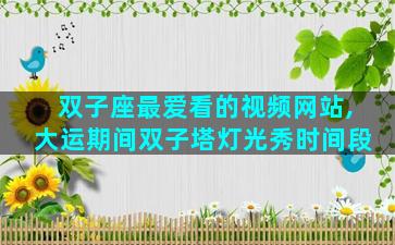 双子座最爱看的视频网站,大运期间双子塔灯光秀时间段