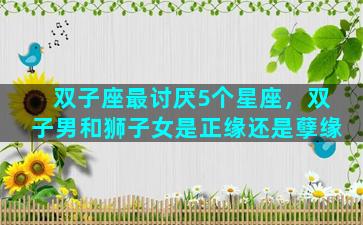 双子座最讨厌5个星座，双子男和狮子女是正缘还是孽缘
