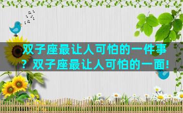 双子座最让人可怕的一件事？双子座最让人可怕的一面!