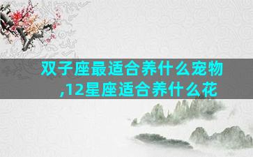双子座最适合养什么宠物,12星座适合养什么花