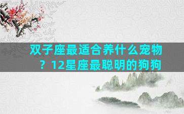 双子座最适合养什么宠物？12星座最聪明的狗狗