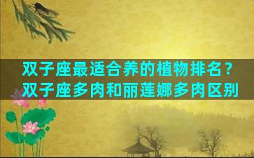 双子座最适合养的植物排名？双子座多肉和丽莲娜多肉区别
