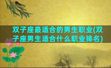 双子座最适合的男生职业(双子座男生适合什么职业排名)