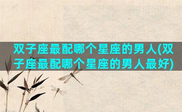 双子座最配哪个星座的男人(双子座最配哪个星座的男人最好)