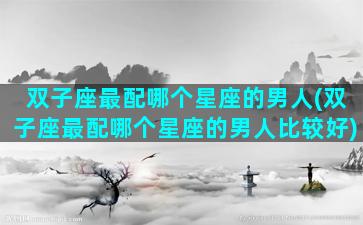 双子座最配哪个星座的男人(双子座最配哪个星座的男人比较好)