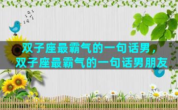 双子座最霸气的一句话男，双子座最霸气的一句话男朋友