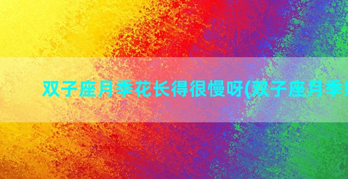 双子座月季花长得很慢呀(双子座月季好养吗)