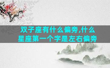 双子座有什么偏旁,什么星座第一个字是左右偏旁