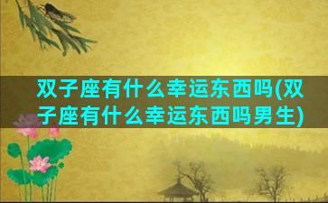 双子座有什么幸运东西吗(双子座有什么幸运东西吗男生)