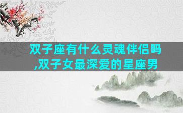 双子座有什么灵魂伴侣吗,双子女最深爱的星座男