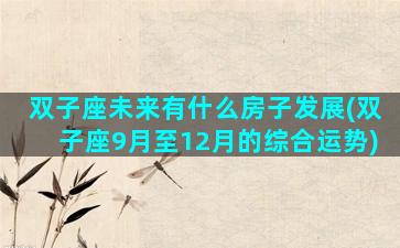 双子座未来有什么房子发展(双子座9月至12月的综合运势)