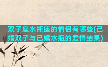 双子座水瓶座的情侣有哪些(已婚双子与已婚水瓶的爱情结果)