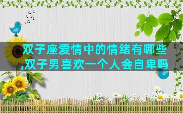 双子座爱情中的情绪有哪些,双子男喜欢一个人会自卑吗