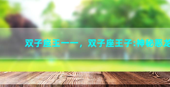 双子座王一一，双子座王子:神秘恶龙天堂