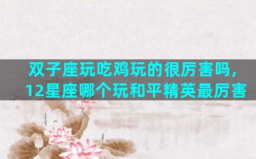 双子座玩吃鸡玩的很厉害吗,12星座哪个玩和平精英最厉害