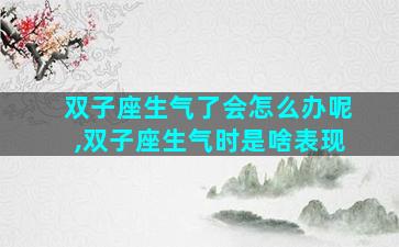 双子座生气了会怎么办呢,双子座生气时是啥表现