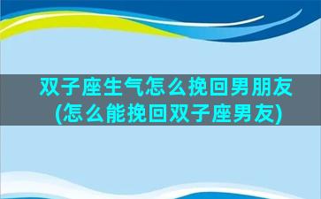 双子座生气怎么挽回男朋友(怎么能挽回双子座男友)