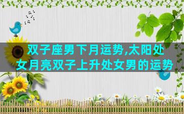 双子座男下月运势,太阳处女月亮双子上升处女男的运势