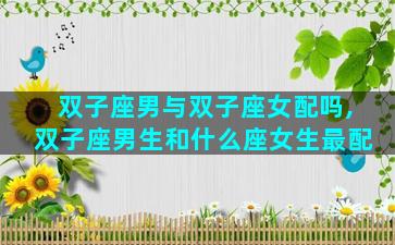 双子座男与双子座女配吗,双子座男生和什么座女生最配