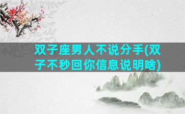 双子座男人不说分手(双子不秒回你信息说明啥)