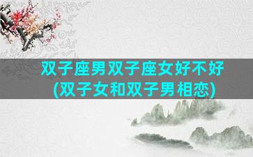 双子座男双子座女好不好(双子女和双子男相恋)
