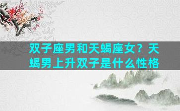 双子座男和天蝎座女？天蝎男上升双子是什么性格
