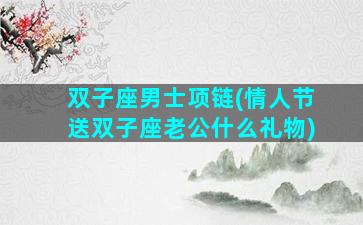 双子座男士项链(情人节送双子座老公什么礼物)