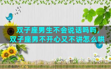 双子座男生不会说话吗吗,双子座男不开心又不讲怎么哄
