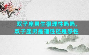 双子座男生很理性吗吗,双子座男是理性还是感性