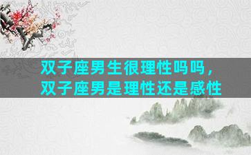 双子座男生很理性吗吗，双子座男是理性还是感性