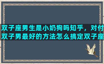 双子座男生是小奶狗吗知乎，对付双子男最好的方法怎么搞定双子座男生