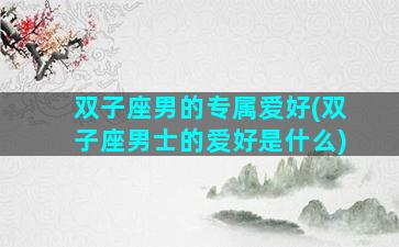 双子座男的专属爱好(双子座男士的爱好是什么)