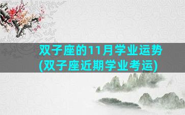 双子座的11月学业运势(双子座近期学业考运)