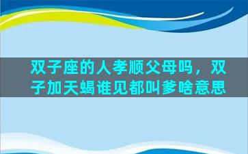 双子座的人孝顺父母吗，双子加天蝎谁见都叫爹啥意思