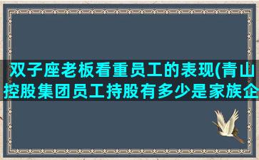 双子座老板看重员工的表现(青山控股集团员工持股有多少是家族企业吗)