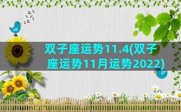 双子座运势11.4(双子座运势11月运势2022)