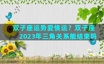 双子座运势爱情运？双子座2023年三角关系能结束吗