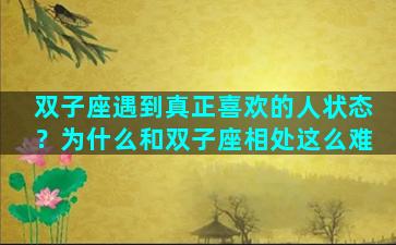 双子座遇到真正喜欢的人状态？为什么和双子座相处这么难