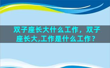 双子座长大什么工作，双子座长大,工作是什么工作？