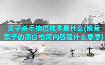 双子杀手拍摄技术是什么(镜音双子的黑白栋病内容是什么意思)