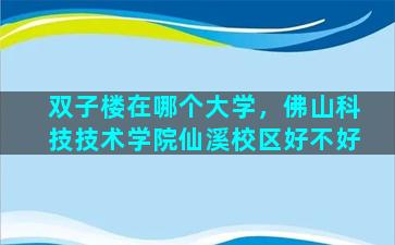 双子楼在哪个大学，佛山科技技术学院仙溪校区好不好