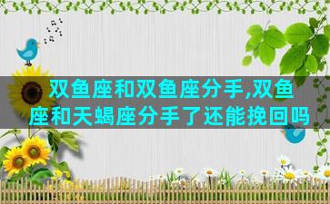 双鱼座和双鱼座分手,双鱼座和天蝎座分手了还能挽回吗
