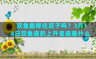 双鱼能降住双子吗？3月14日双鱼座的上升星座是什么