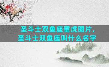 圣斗士双鱼座童虎图片,圣斗士双鱼座叫什么名字