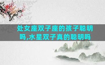 处女座双子座的孩子聪明吗,水星双子真的聪明吗