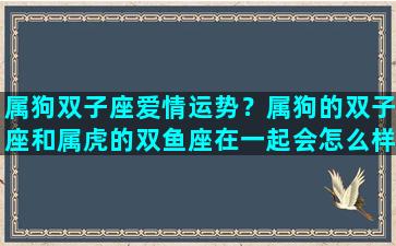 属狗双子座爱情运势？属狗的双子座和属虎的双鱼座在一起会怎么样